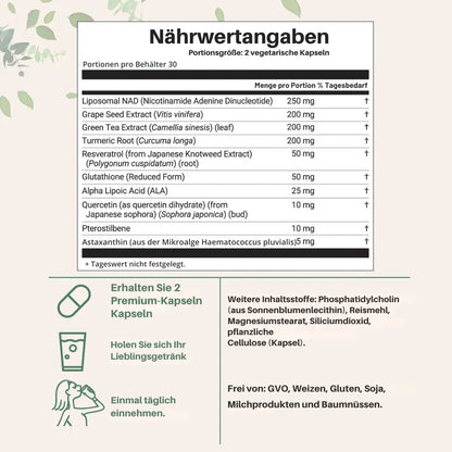 Liposomale NAD+ Kapseln 1000 mg