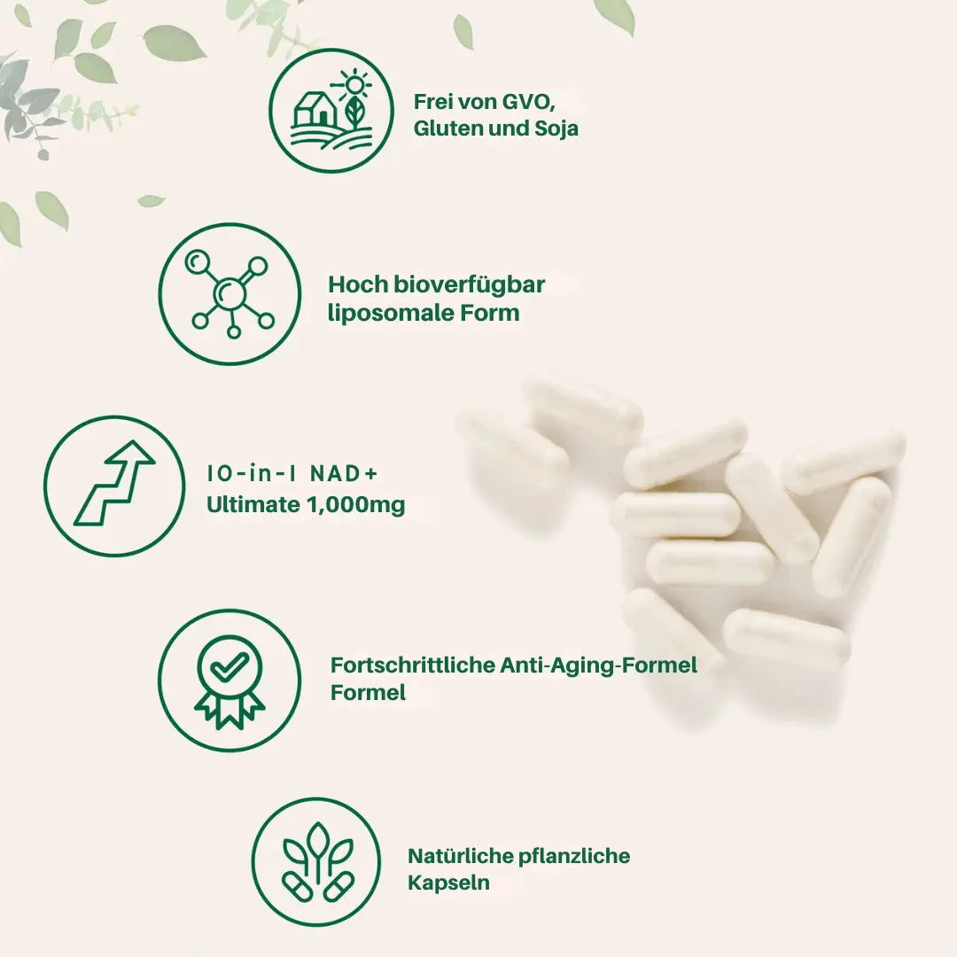 Liposomale NAD+ Kapseln 1000 mg