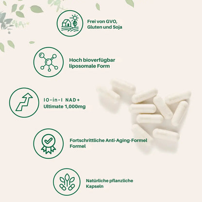 Liposomale NAD+ Kapseln 1000 mg