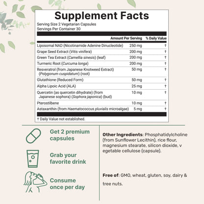 Liposomal NAD+ Capsules 1000mg